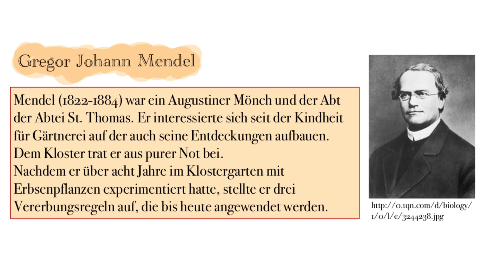 Gregor Mendel und die
Mendelschen Regeln
Grundlage der klassischen Genetik Gregor Johann Mendel
Mendel (1822-1884) war ein Augustiner Mönch 