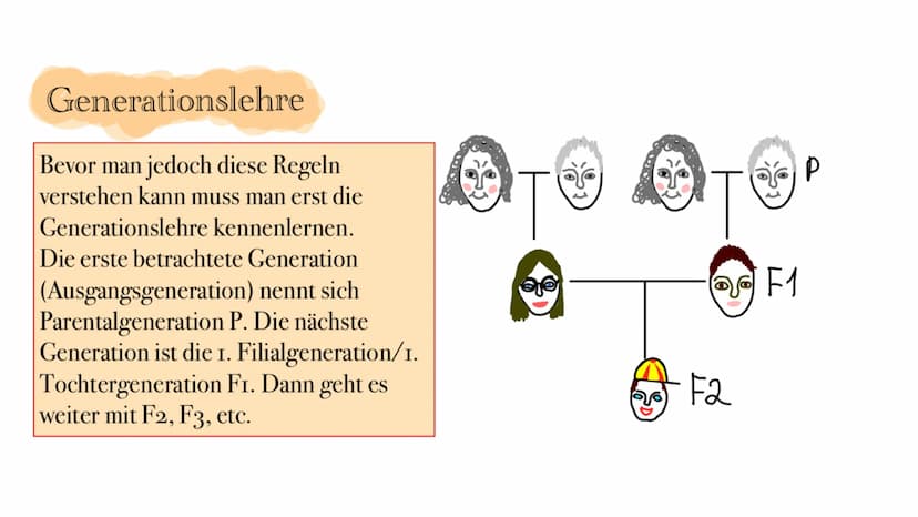 Gregor Mendel und die
Mendelschen Regeln
Grundlage der klassischen Genetik Gregor Johann Mendel
Mendel (1822-1884) war ein Augustiner Mönch 