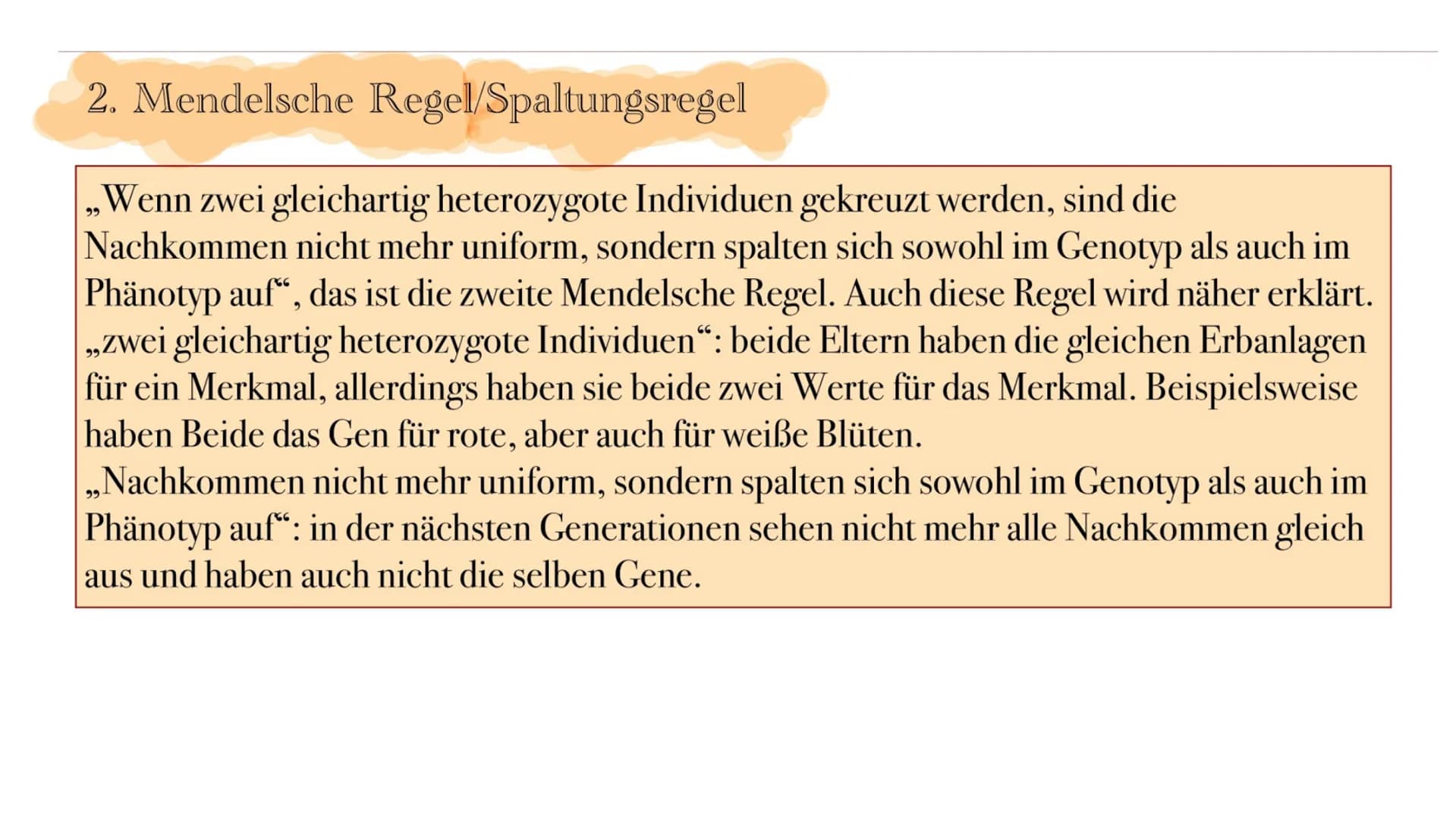 Gregor Mendel und die
Mendelschen Regeln
Grundlage der klassischen Genetik Gregor Johann Mendel
Mendel (1822-1884) war ein Augustiner Mönch 