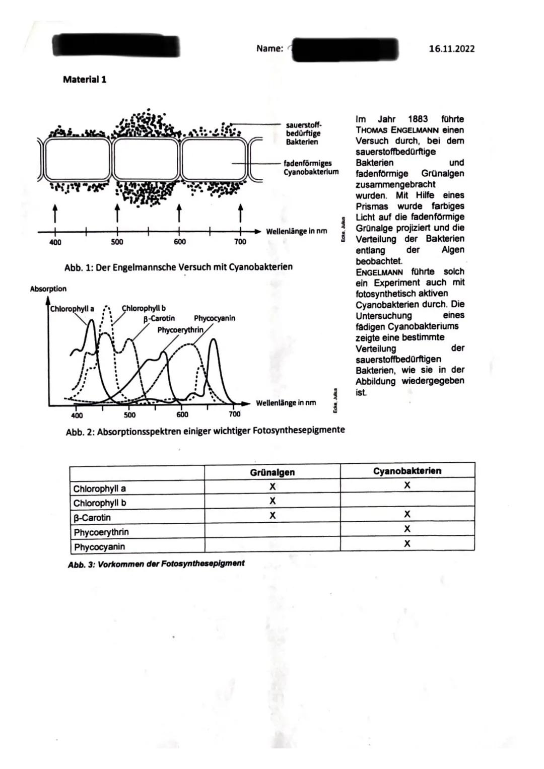 Name:
16.11.2022

Thema: Ökologie

Hilfsmittel: Operatorenliste, Duden

Aufgabenstellung: Fotosyntheseleistung bei Cyanobakterien (Material 