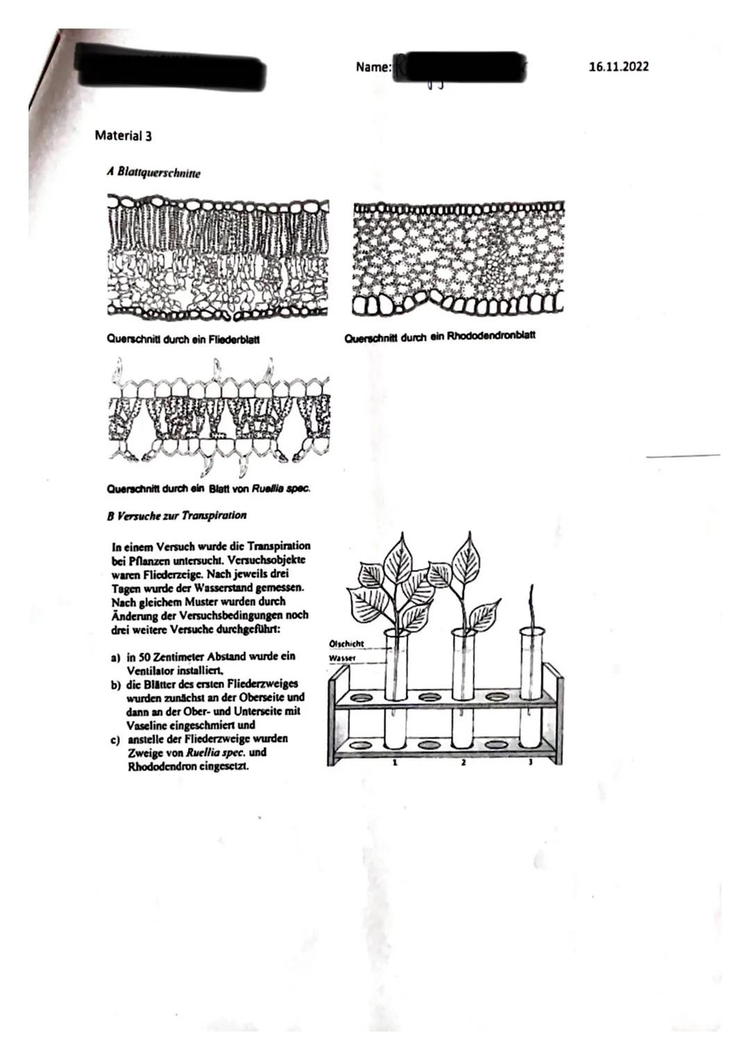 Name:
16.11.2022

Thema: Ökologie

Hilfsmittel: Operatorenliste, Duden

Aufgabenstellung: Fotosyntheseleistung bei Cyanobakterien (Material 