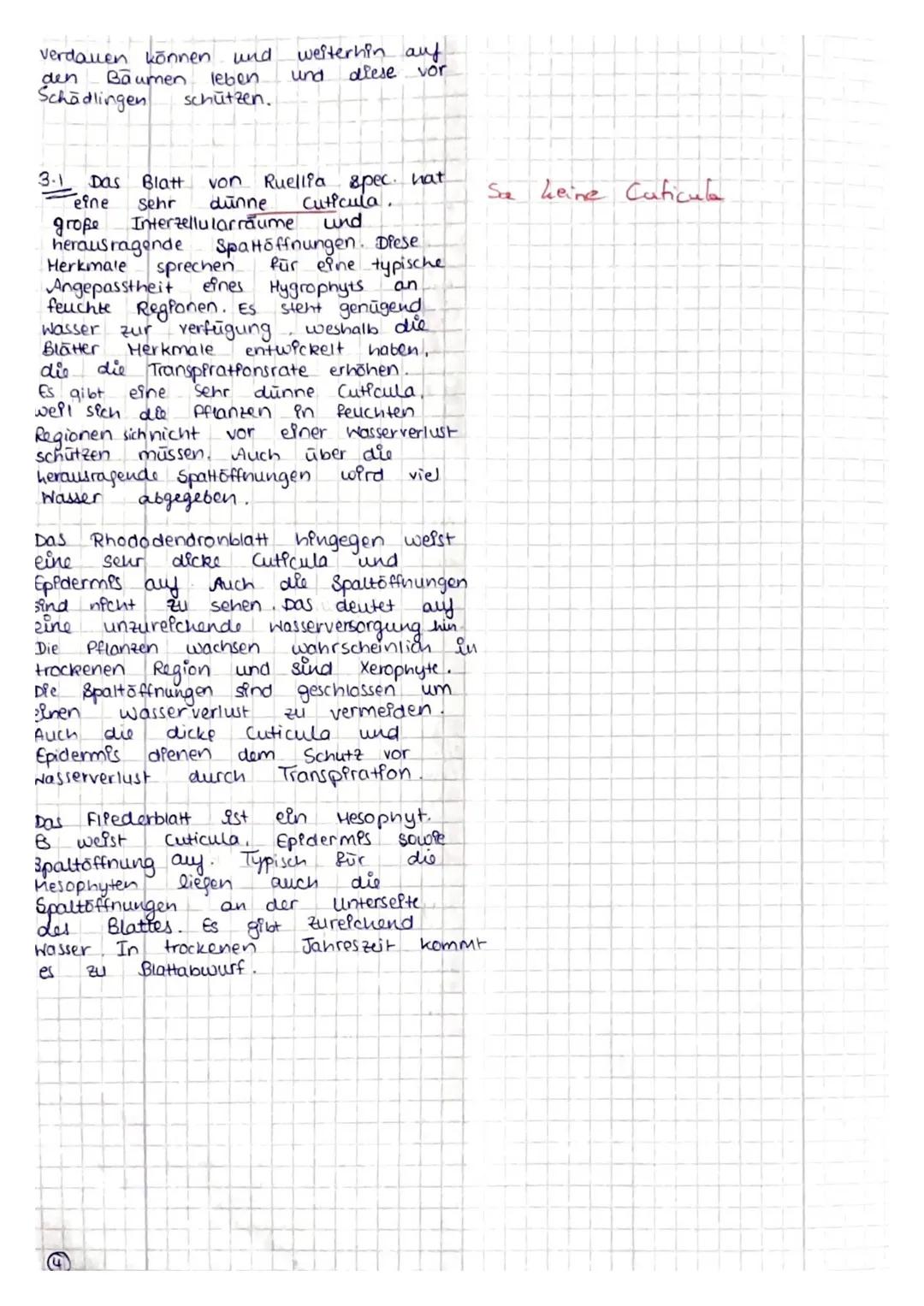 Name:
16.11.2022

Thema: Ökologie

Hilfsmittel: Operatorenliste, Duden

Aufgabenstellung: Fotosyntheseleistung bei Cyanobakterien (Material 