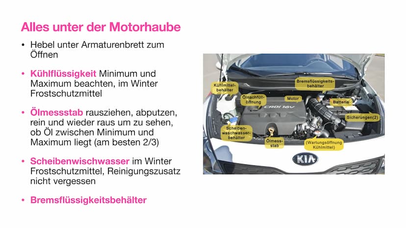 Technische Fragen
Praktische Fahrprüfung
SMIO EXB Reifen
Profiltiefe mindestens 1,6 mm
Stege = Verschleißindikatoren
Angaben zum Luftdruck i