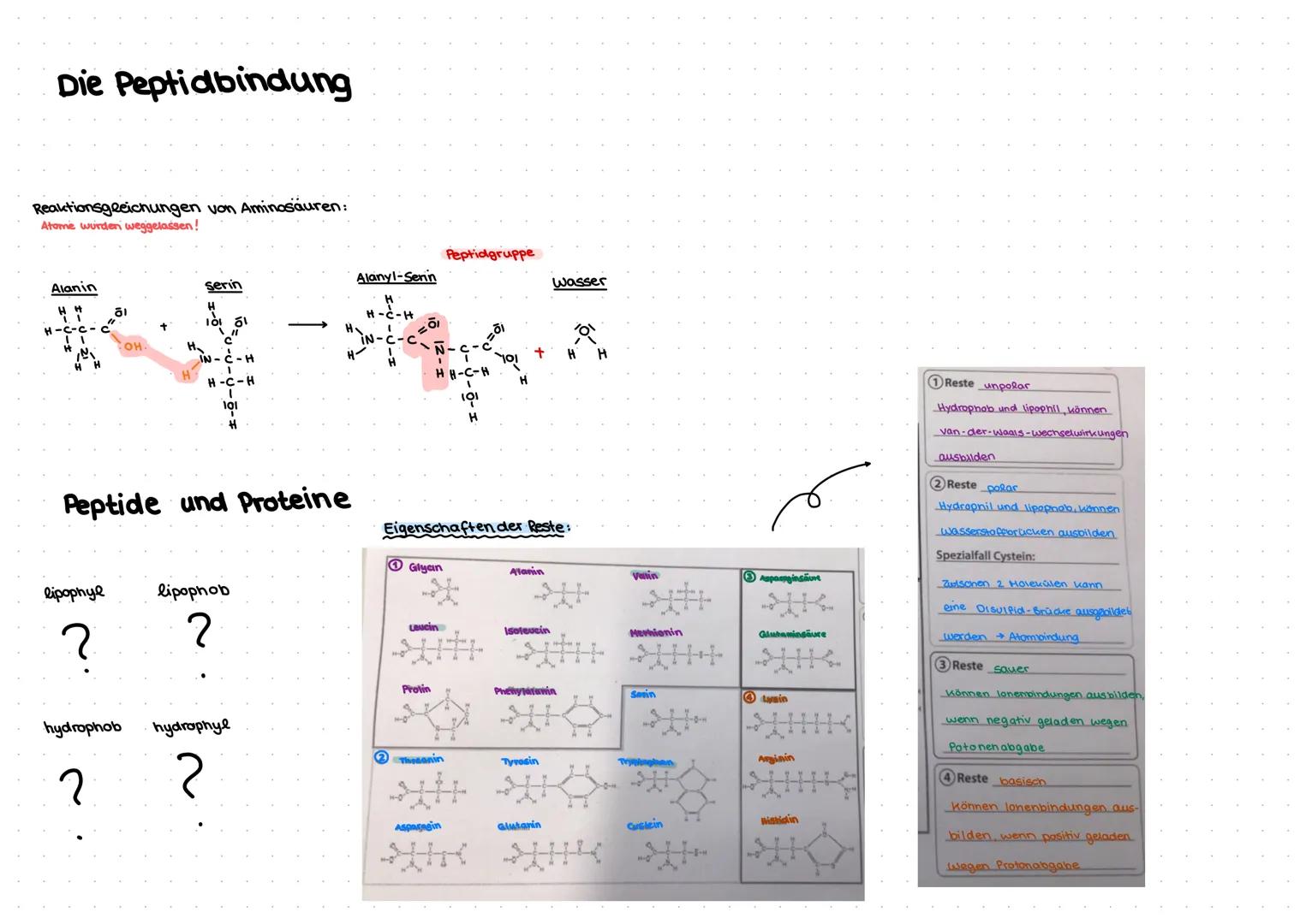 # Aminosäuren & Proteine

Aminosäure Aufbau

IUPAC-Namen von Aminosäuren benennen und zeichen

Beispiele:

H
10
C
H-0
Carboxyl-
gruppe
(Säur
