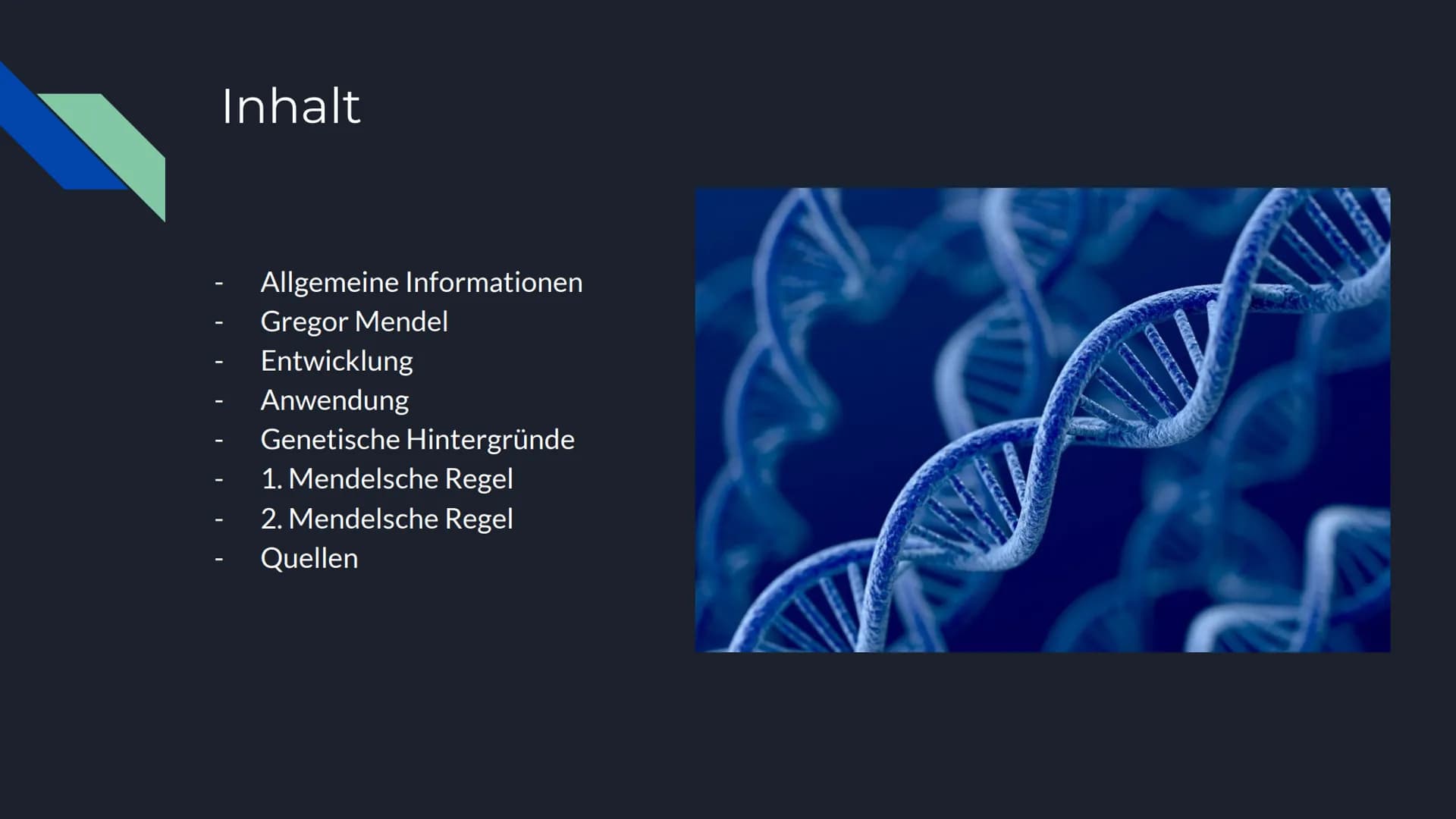 Mendelsche Regeln Inhalt
Allgemeine Informationen
Gregor Mendel
Entwicklung
Anwendung
Genetische Hintergründe
1. Mendelsche Regel
2. Mendels