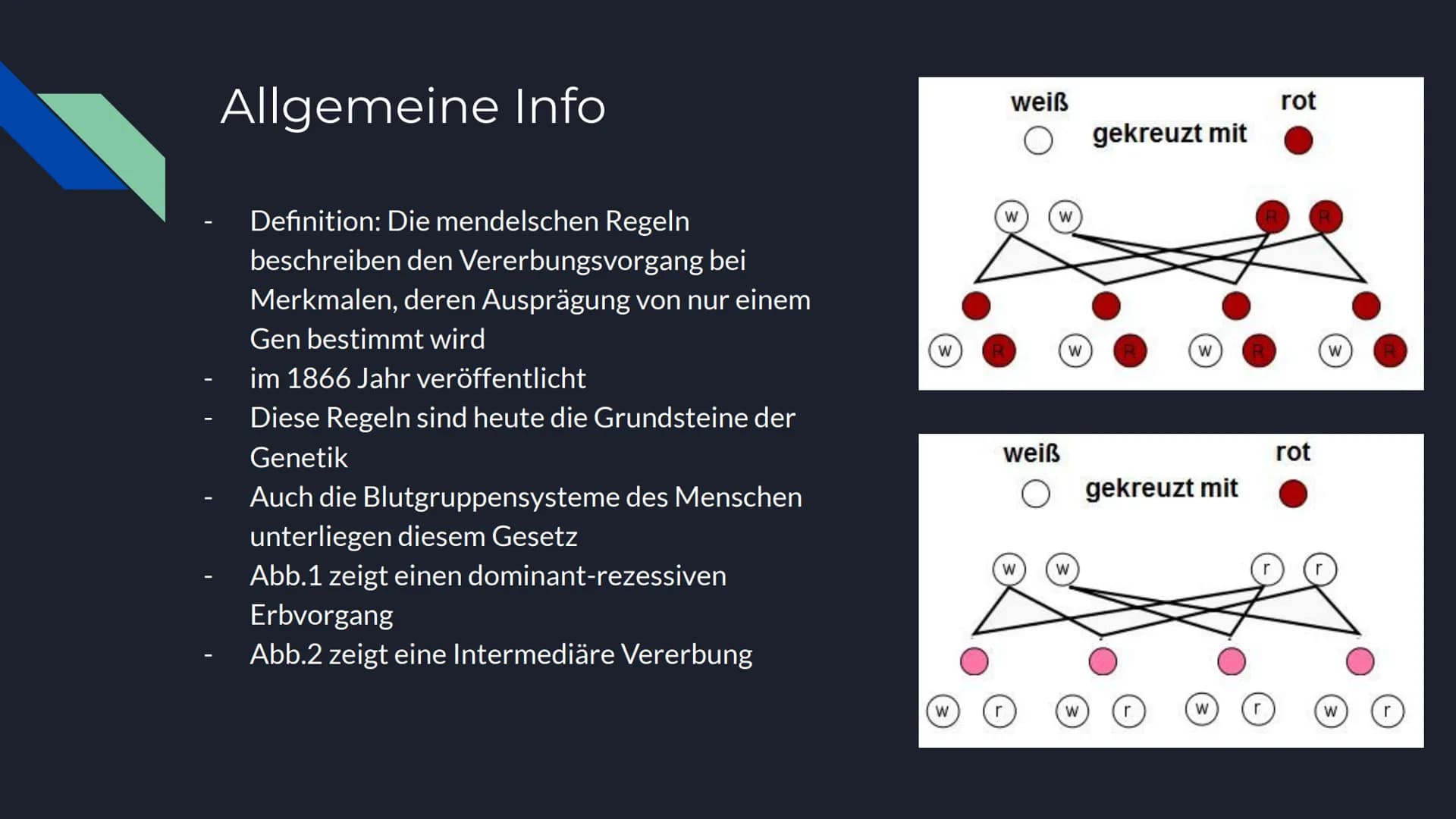 Mendelsche Regeln Inhalt
Allgemeine Informationen
Gregor Mendel
Entwicklung
Anwendung
Genetische Hintergründe
1. Mendelsche Regel
2. Mendels