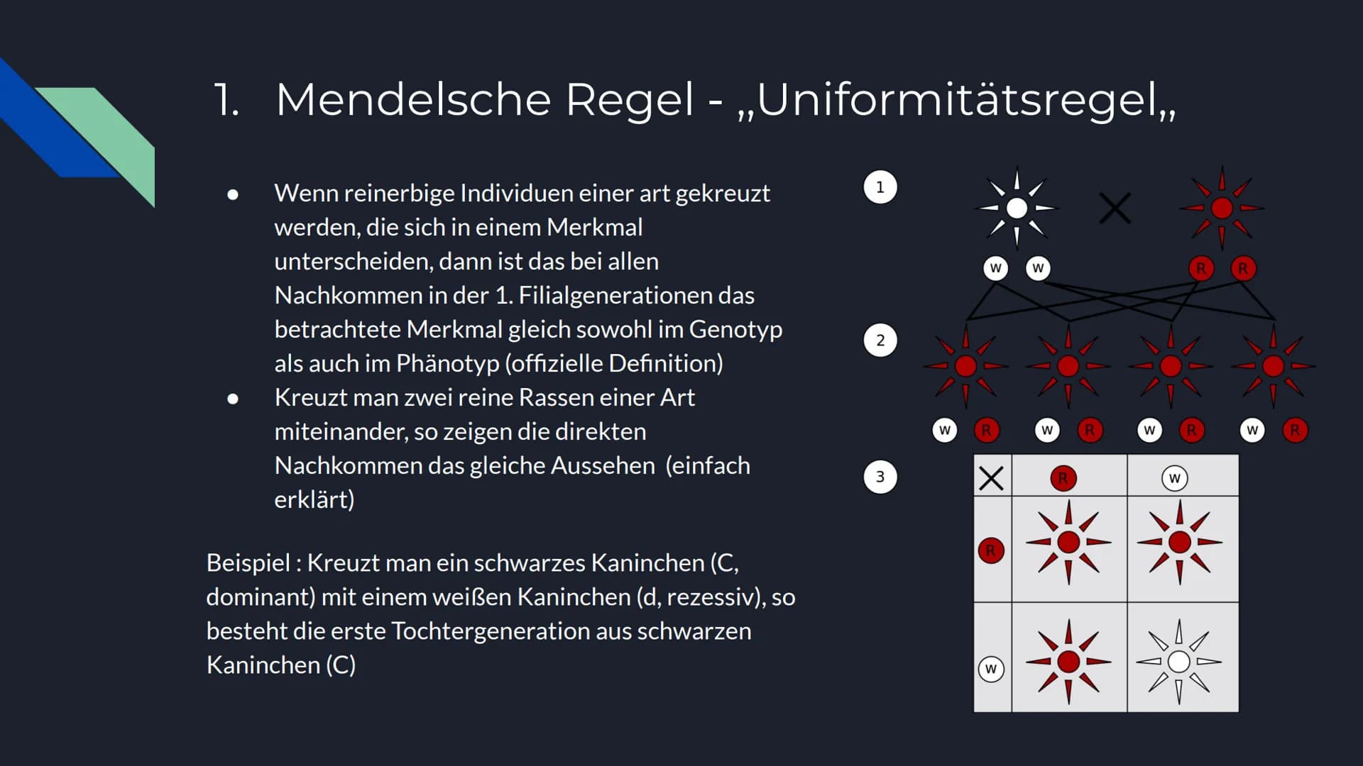 Mendelsche Regeln Inhalt
Allgemeine Informationen
Gregor Mendel
Entwicklung
Anwendung
Genetische Hintergründe
1. Mendelsche Regel
2. Mendels