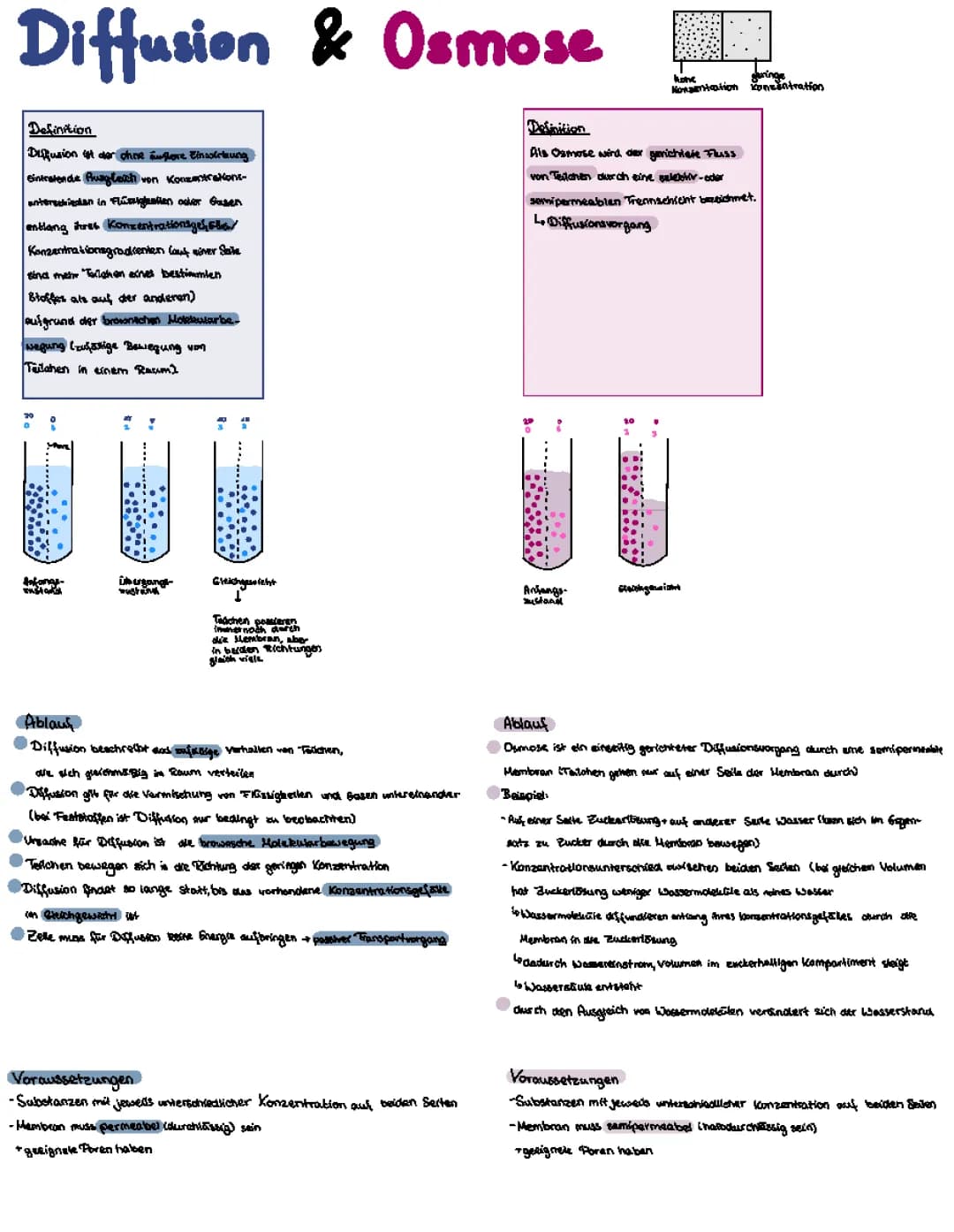 Diffusion und Osmose