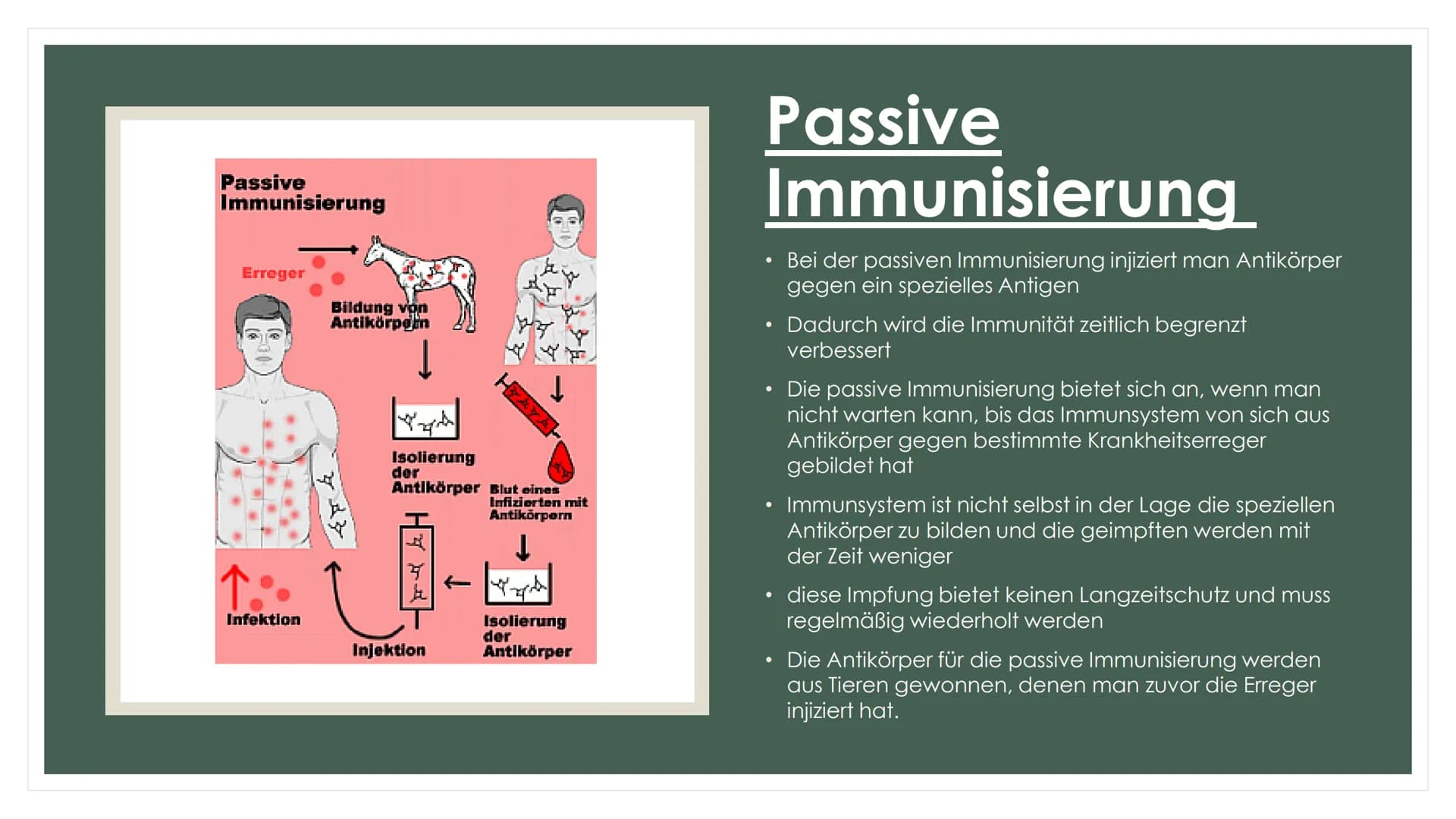 W
DHEITS
HEALT
ORGANISATION M
0,5 ml
ON
INTERNATIONALE BESCHEINIGUNGEN
ÜBER IMPFUNGEN
UND IMPFBUCH
INTERNATIONAL CERTIFICATES
OF VACCINATION