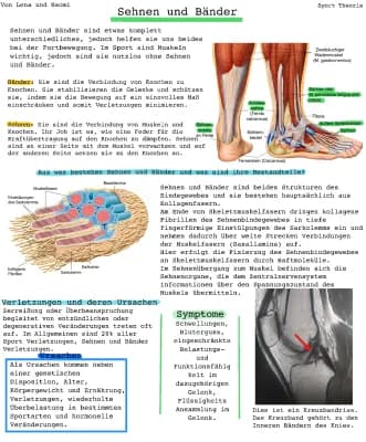 Know Sehnen und Bänder Handout thumbnail
