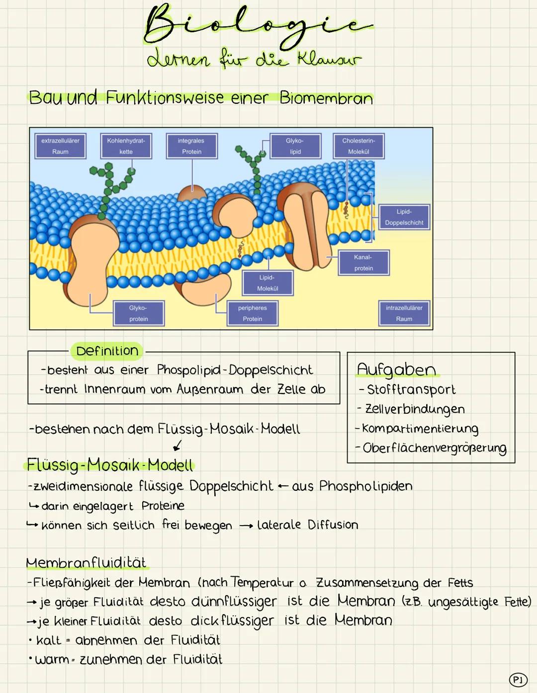 Klausurvorbereitung - Bau und Funktionsweise einer Biomembran