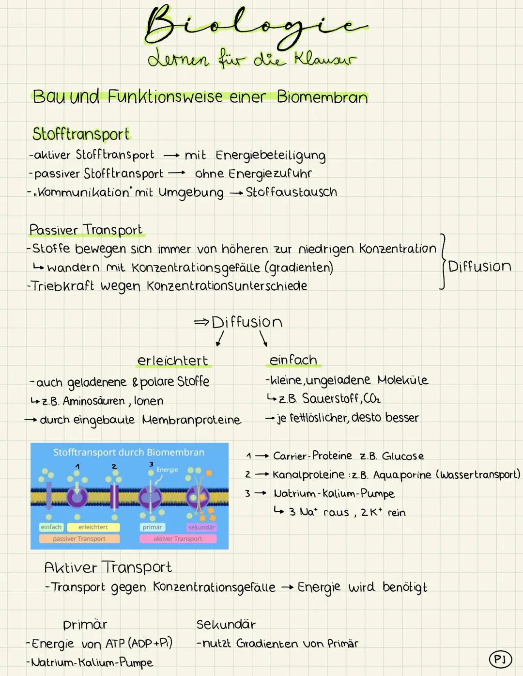 # Biologic
Lernen für die Klausur

Bau und Funktionsweise einer Biomembran

extrazellulärer
Raum

Kohlenhydrat-
kette

integrales
Protein

G