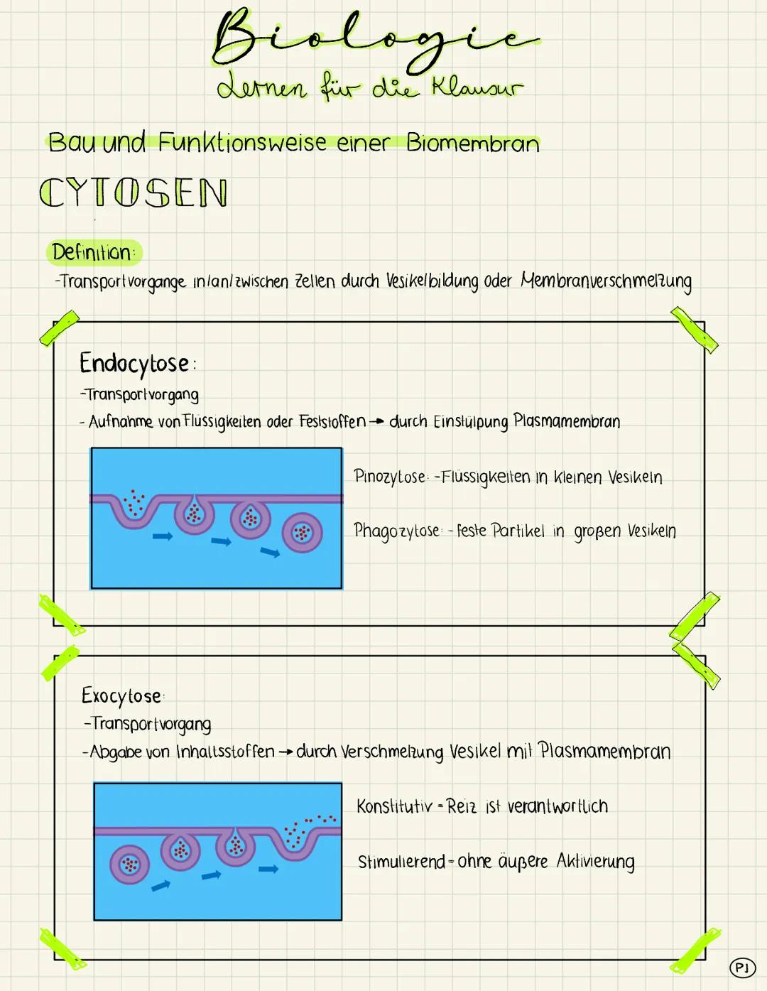 # Biologic
Lernen für die Klausur

Bau und Funktionsweise einer Biomembran

extrazellulärer
Raum

Kohlenhydrat-
kette

integrales
Protein

G