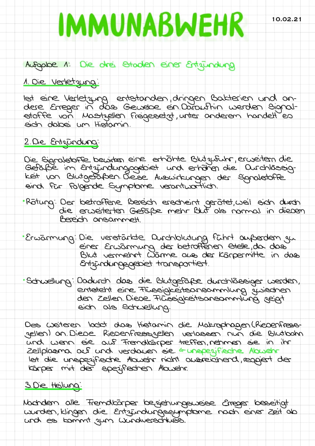 Die Immunabwehr: Mechanismen und Abläufe