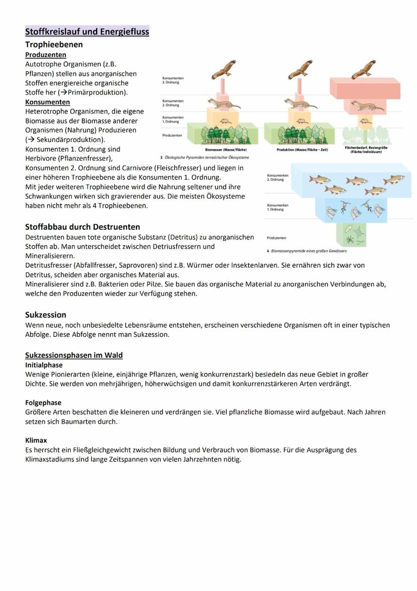 Umweltfaktoren und ökologische Potenz
Grundbegriffe der Ökologie
Definition
Begriff
Ökologie
Biosphäre
Ökosystem
Biozönose
Biotop
Umweltfakt