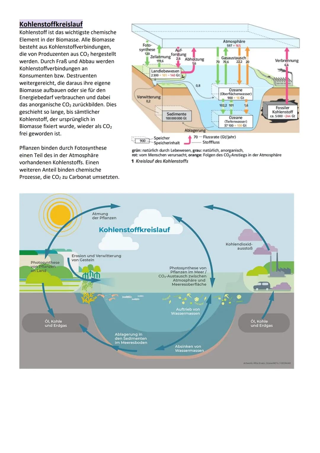 Umweltfaktoren und ökologische Potenz
Grundbegriffe der Ökologie
Definition
Begriff
Ökologie
Biosphäre
Ökosystem
Biozönose
Biotop
Umweltfakt