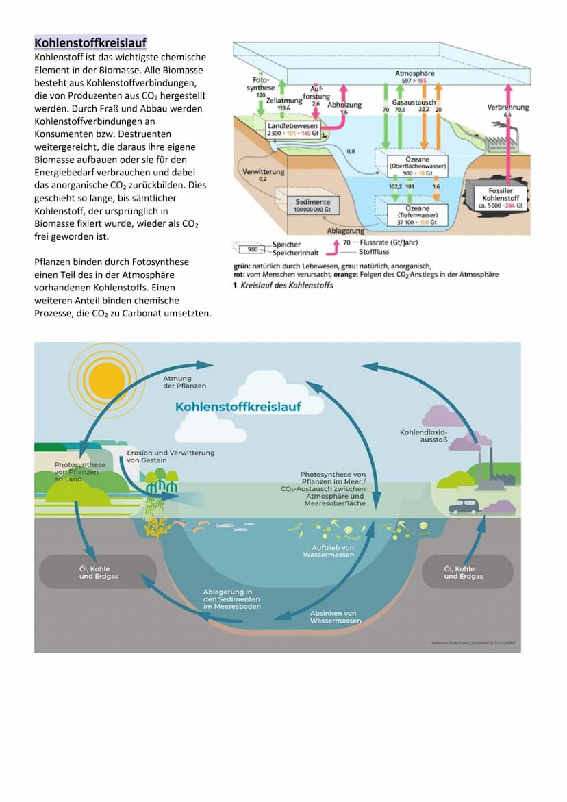 Umweltfaktoren und ökologische Potenz
Grundbegriffe der Ökologie
Definition
Begriff
Ökologie
Biosphäre
Ökosystem
Biozönose
Biotop
Umweltfakt