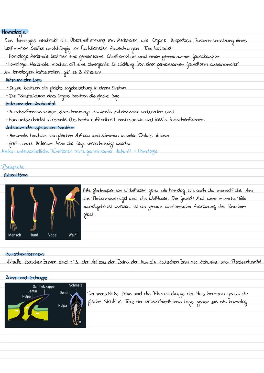 # Selektionen
→ Selektionsdruck = Einwirkung der Selektionsfaktoren auf Population

Stabilisierende Selektion

Individuen

Mittelwert

* vor