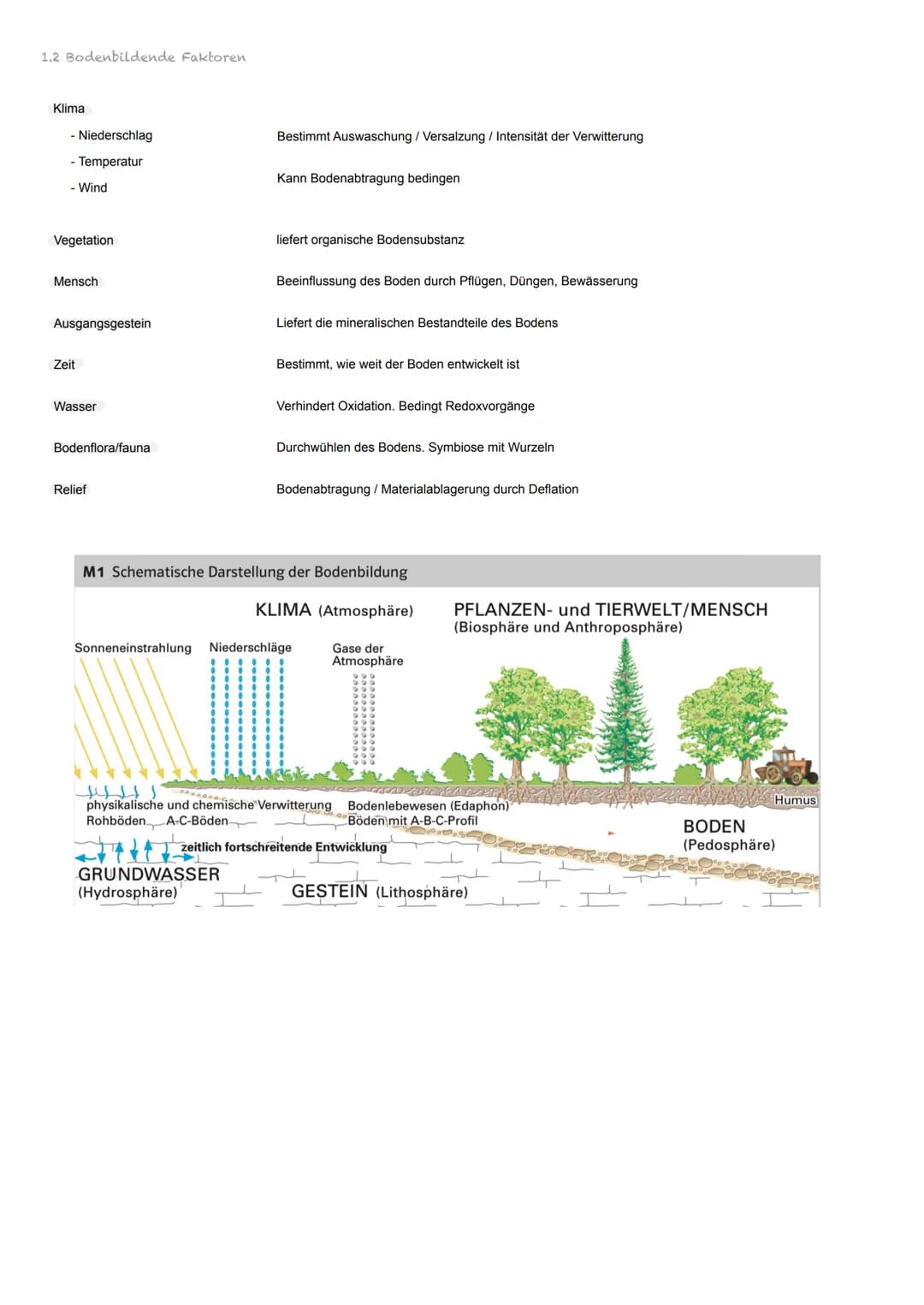 1. Boden
1.1 Definition
Boden ist das mit Wasser, Luft, Lebewesen durchsetzte, unter dem Einfluss der Umweltfaktoren an der
Erdoberfläche en