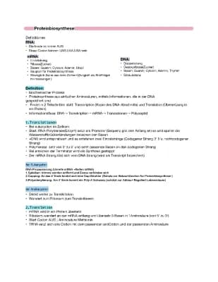 Know Proteinbiosynthese  thumbnail