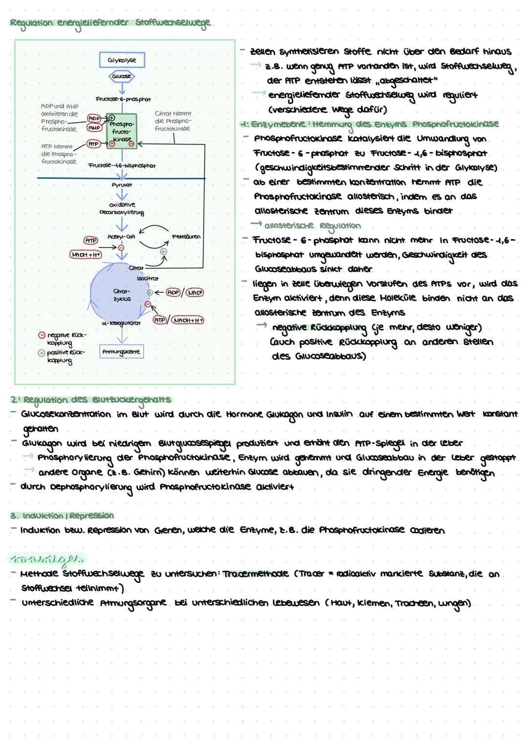 Stoffwechselprozesse = Stoffe und Energien aus der Umwelt werden aufgenommen, umgewandelt abgegeben.
Dissimilation Stufenweiser Abbau von St