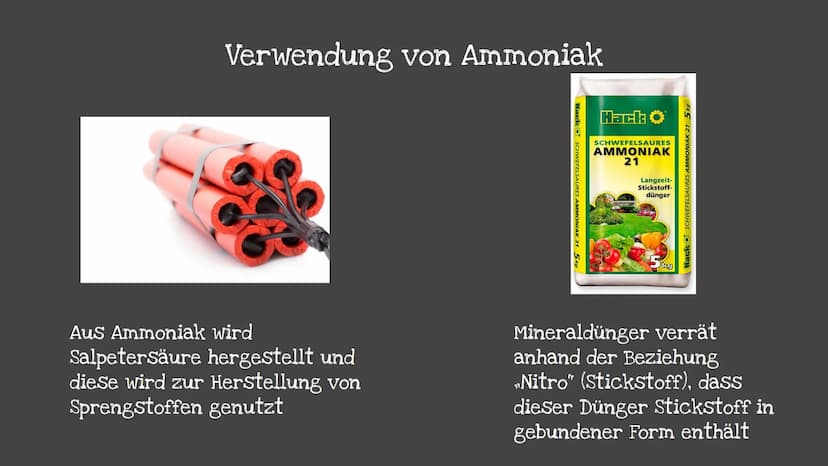 Ammoniak &
Ammoniaksyn-
these
10F Chemie
(CH₂)
H₂CO31
NᵒH
محمد
H₂O=0
H
H
H-
O
S₂
-H
H
郎
Cotto
✓4H₂CO (2Mg) Inhaltsverzeichnis
Steckbrief Amm