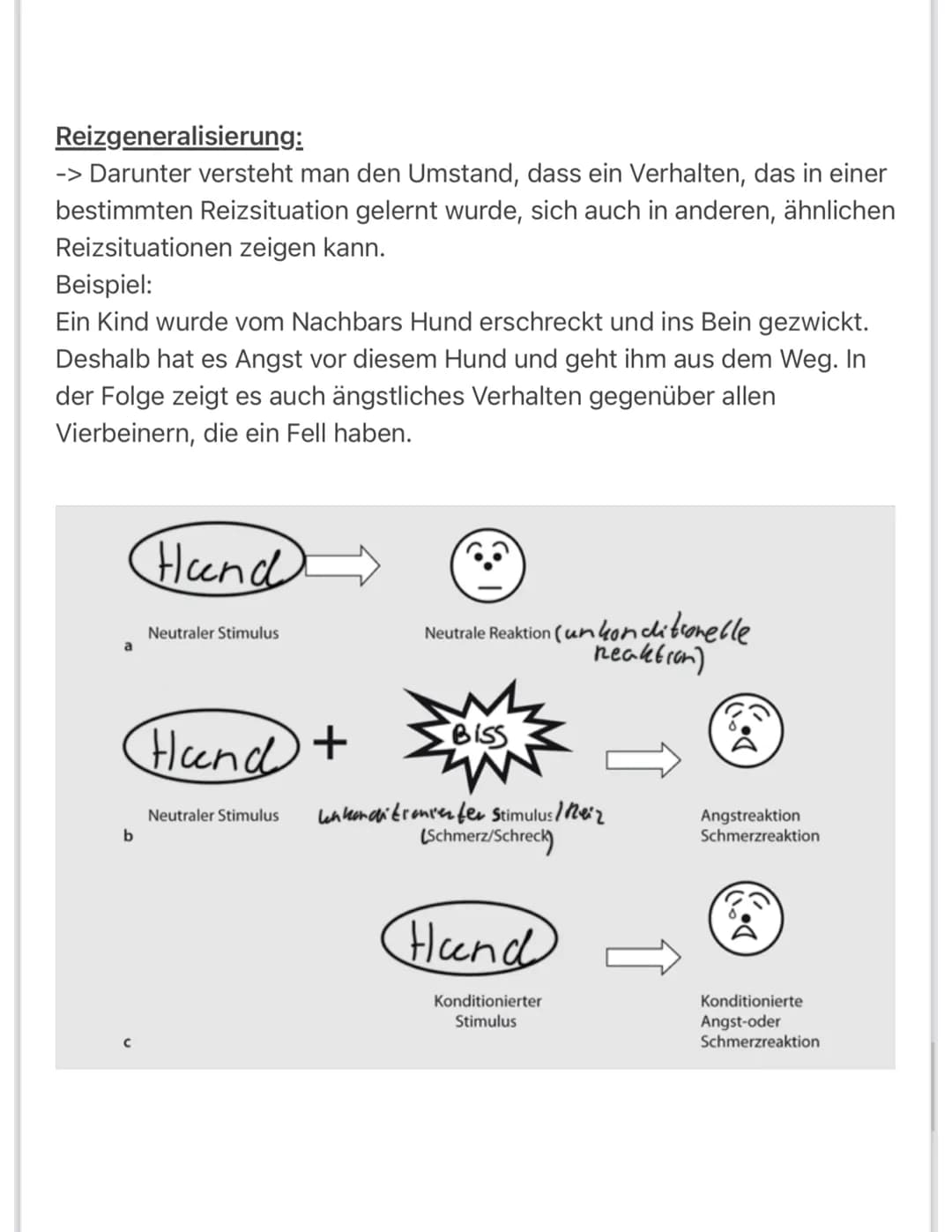 Päda: Lerntheorien
Klassische Konditionierung und Gegenkonditionierung
BIMMEL!
TAZ
-
BIMMEL!
BIMMEL!
ARBEITSAUFTRAG
Die Bilderfolge zeigt, w