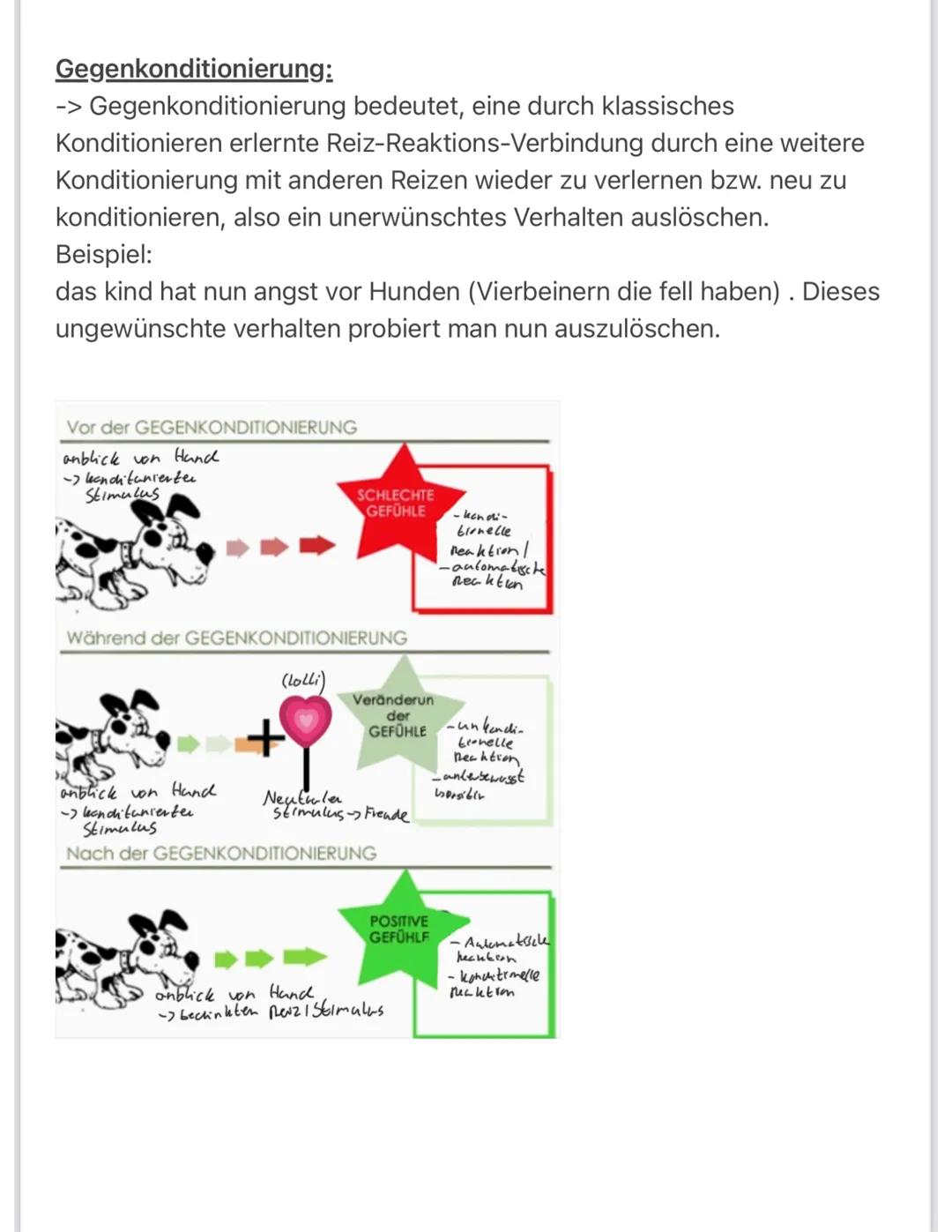 Päda: Lerntheorien
Klassische Konditionierung und Gegenkonditionierung
BIMMEL!
TAZ
-
BIMMEL!
BIMMEL!
ARBEITSAUFTRAG
Die Bilderfolge zeigt, w