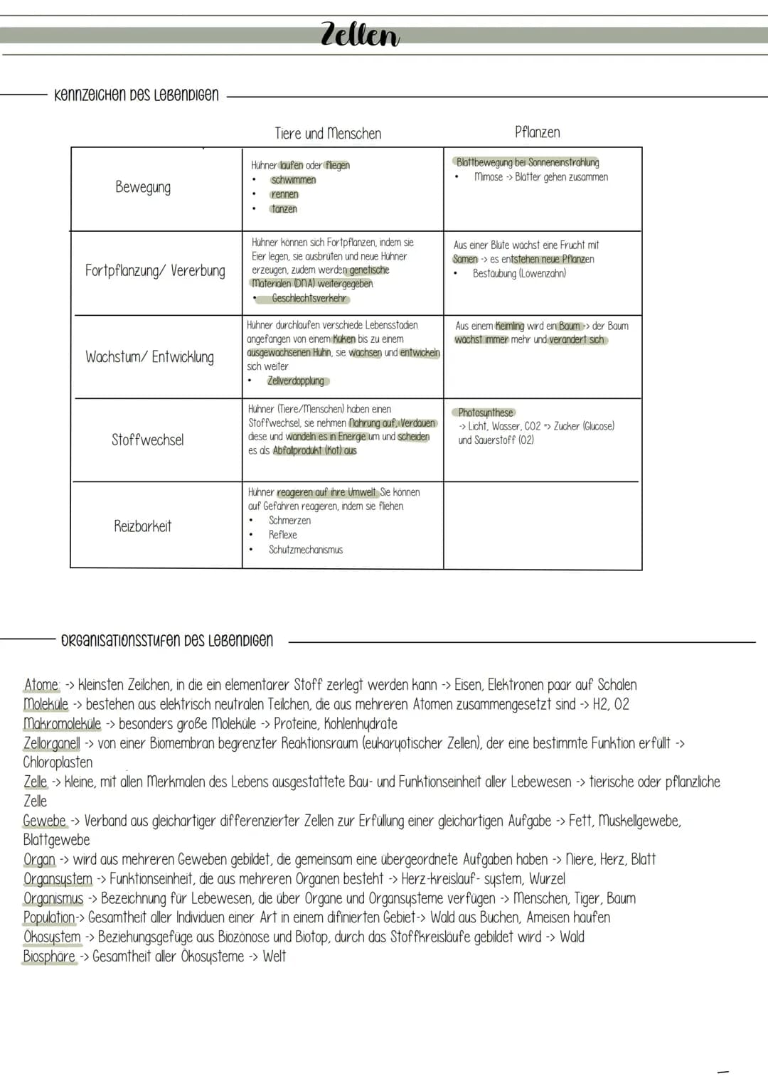 Zellen, Mikroskop und co.