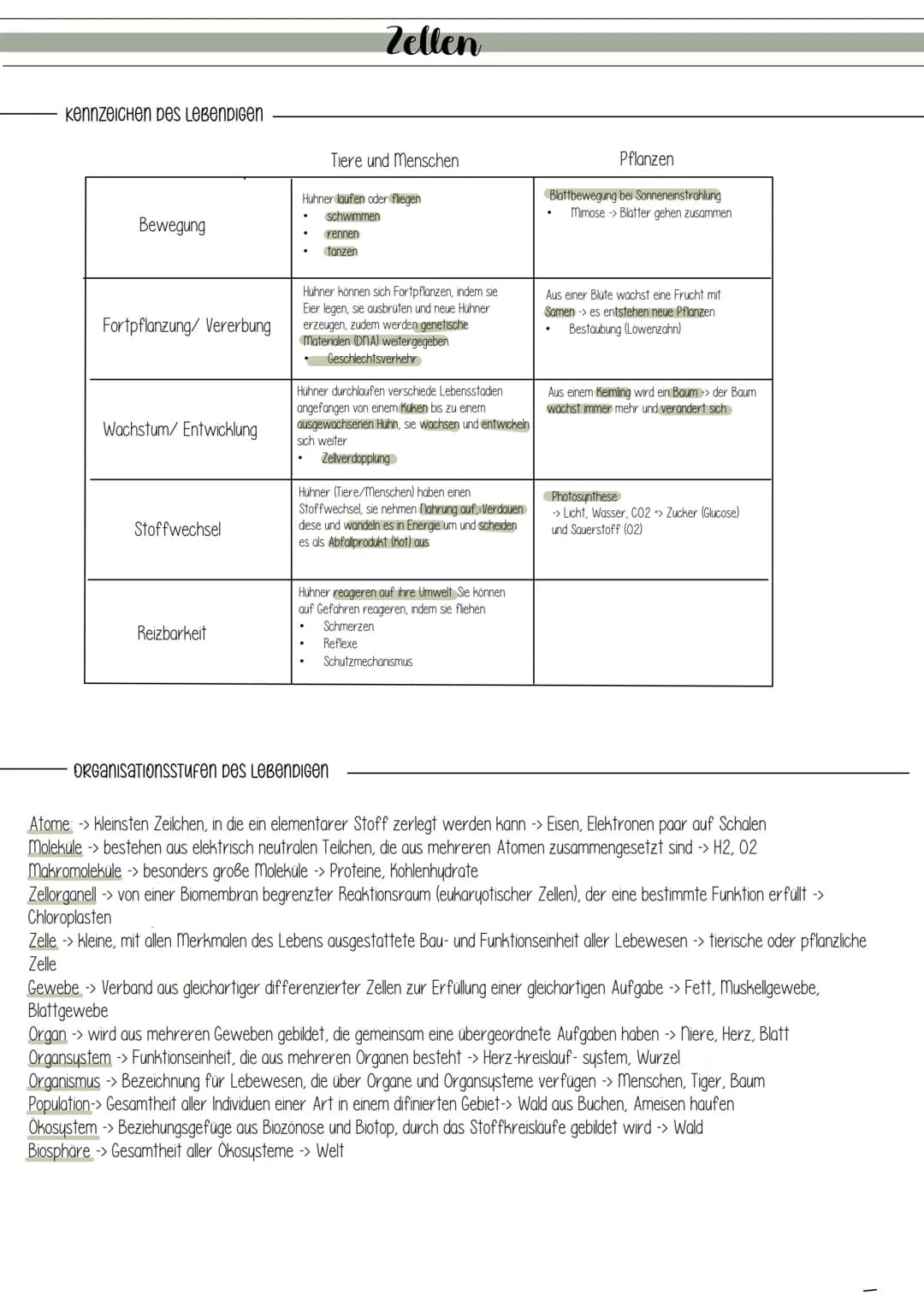 Kennzeichen Des LEBENDIGEN
Bewegung
Fortpflanzung/ Vererbung
Wachstum/ Entwicklung
Stoffwechsel
Reizbarkeit
Zellen
Tiere und Menschen
Huhner