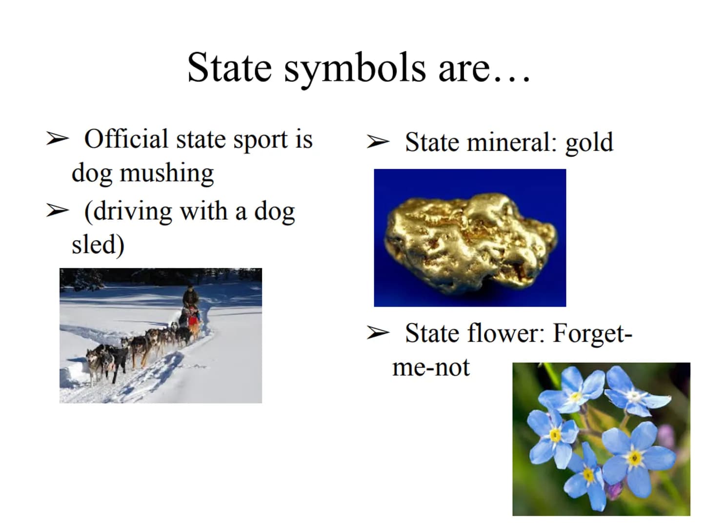 ALASKA Tabel of content:
General information:
➤ Geography
Flag
Climate
State symbols
➤ Industry and fishing
➤ Government
➤ Fairbanks
Ice Art