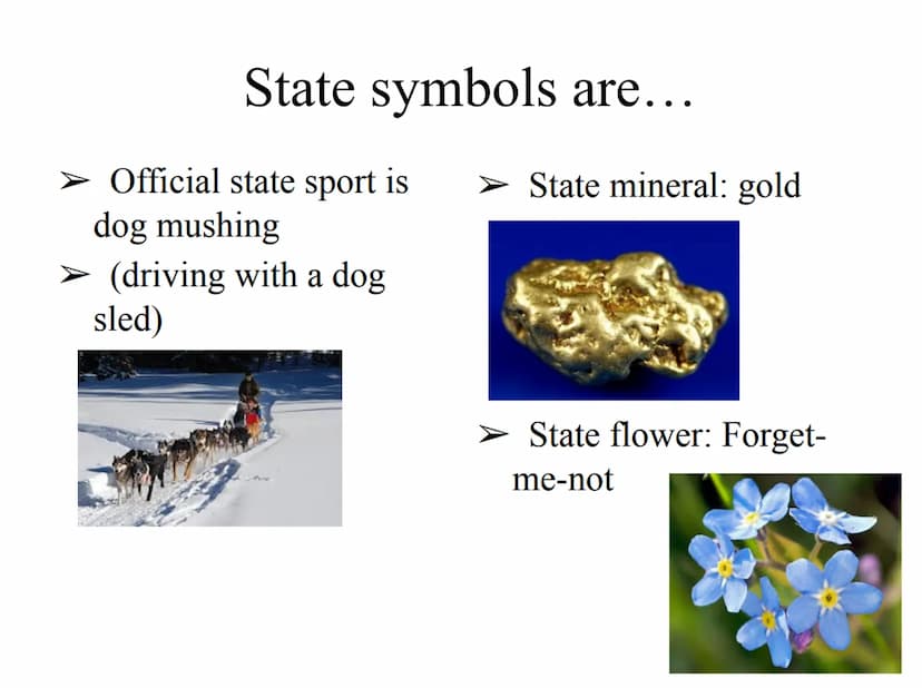 ALASKA Tabel of content:
General information:
➤ Geography
Flag
Climate
State symbols
➤ Industry and fishing
➤ Government
➤ Fairbanks
Ice Art