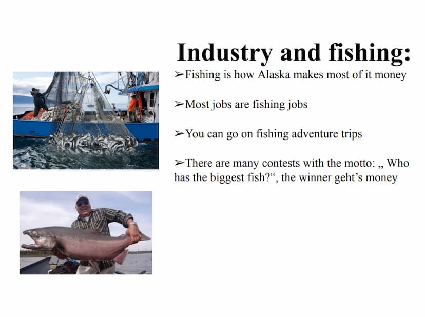 ALASKA Tabel of content:
General information:
➤ Geography
Flag
Climate
State symbols
➤ Industry and fishing
➤ Government
➤ Fairbanks
Ice Art