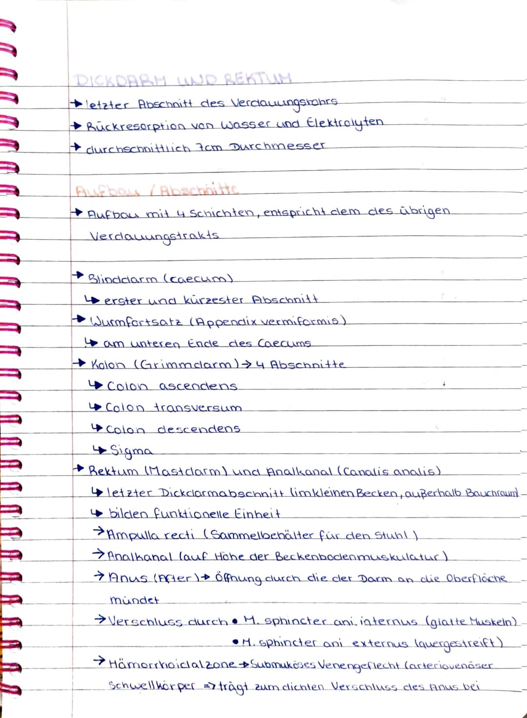 NAHR
NAHRUNGSAUFNAHME & AUSSCHEIDUNG!
+ Überblick des Verdauungssystems.
• Mundhöhle und Schluckakt
Speiseröhre
Magen
Dünndarm
Dickclarm
Leb