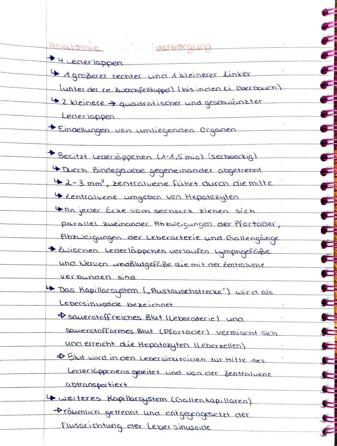 NAHR
NAHRUNGSAUFNAHME & AUSSCHEIDUNG!
+ Überblick des Verdauungssystems.
• Mundhöhle und Schluckakt
Speiseröhre
Magen
Dünndarm
Dickclarm
Leb