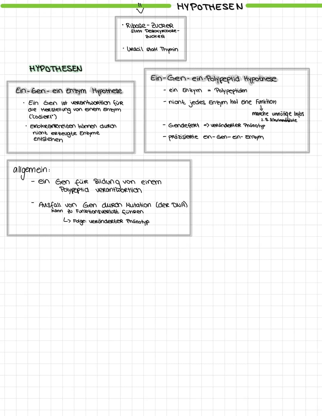 Desoxyribo Nuklein Saure (DNS)
D
• DesoxyRibase (Zucker)
N = Nukleosid
S = Säure
• Base + ZuckeR + PhosphatgRuppe = Nukleotid
organische Boo