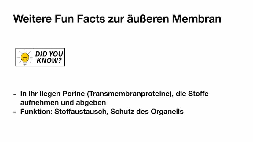 
<p>Mitochondrien besitzen eine innere und eine äußere Membran, wodurch sie eine Doppelmembran haben. Die innere Membran ist in Falten geleg