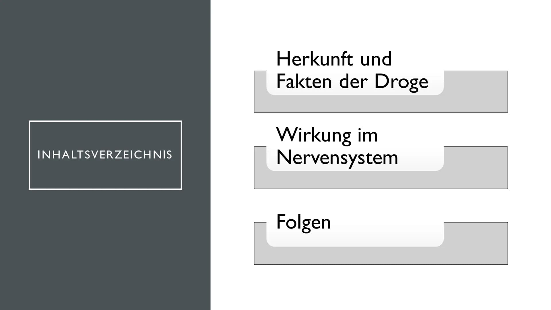 KOKAIN
"Wenn der "Schnee" zu oft rieselt...
...dann droht der Herzinfarkt" INHALTSVERZEICHNIS
Herkunft und
Fakten der Droge
Wirkung im
Nerve