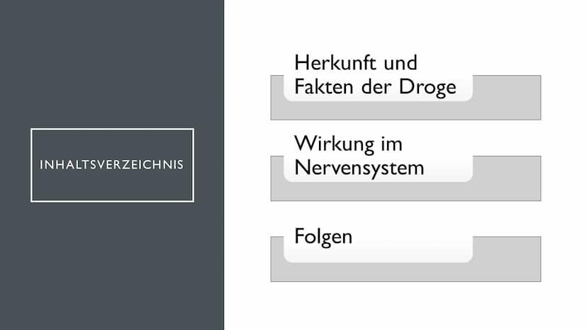 KOKAIN
"Wenn der "Schnee" zu oft rieselt...
...dann droht der Herzinfarkt" INHALTSVERZEICHNIS
Herkunft und
Fakten der Droge
Wirkung im
Nerve