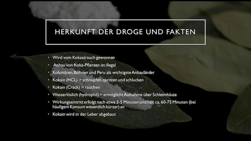 KOKAIN
"Wenn der "Schnee" zu oft rieselt...
...dann droht der Herzinfarkt" INHALTSVERZEICHNIS
Herkunft und
Fakten der Droge
Wirkung im
Nerve