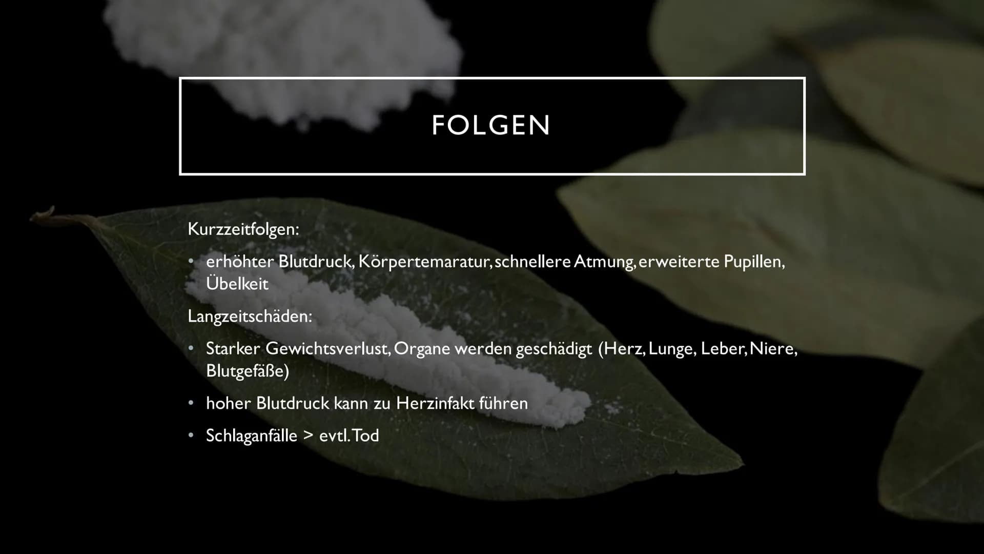 KOKAIN
"Wenn der "Schnee" zu oft rieselt...
...dann droht der Herzinfarkt" INHALTSVERZEICHNIS
Herkunft und
Fakten der Droge
Wirkung im
Nerve
