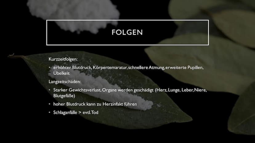 KOKAIN
"Wenn der "Schnee" zu oft rieselt...
...dann droht der Herzinfarkt" INHALTSVERZEICHNIS
Herkunft und
Fakten der Droge
Wirkung im
Nerve
