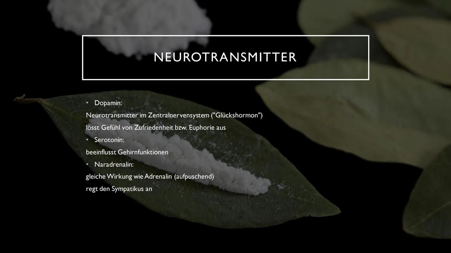 KOKAIN
"Wenn der "Schnee" zu oft rieselt...
...dann droht der Herzinfarkt" INHALTSVERZEICHNIS
Herkunft und
Fakten der Droge
Wirkung im
Nerve