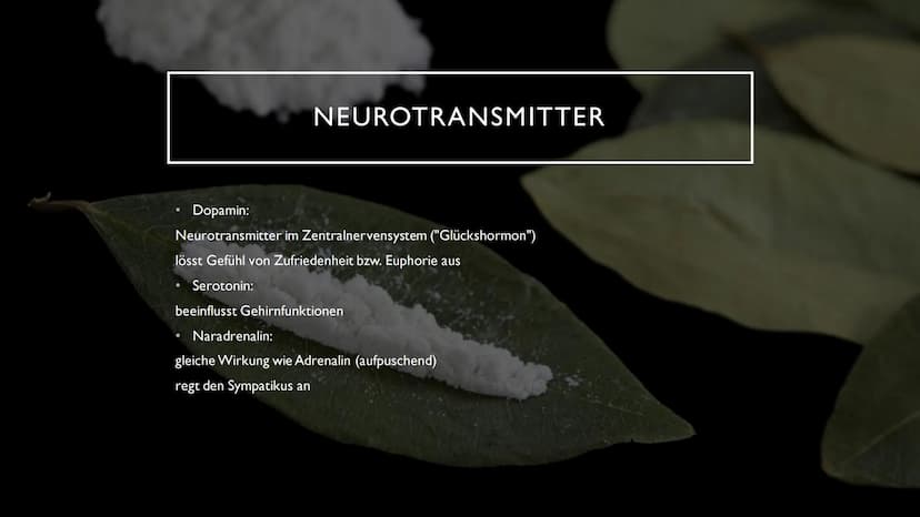 KOKAIN
"Wenn der "Schnee" zu oft rieselt...
...dann droht der Herzinfarkt" INHALTSVERZEICHNIS
Herkunft und
Fakten der Droge
Wirkung im
Nerve