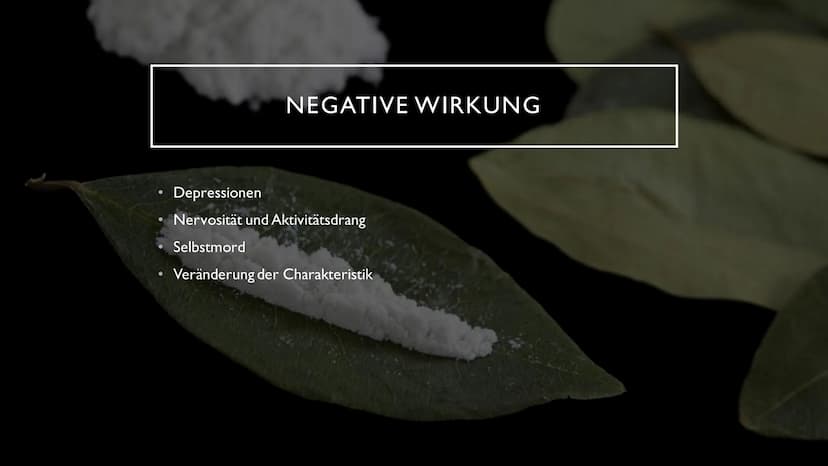 KOKAIN
"Wenn der "Schnee" zu oft rieselt...
...dann droht der Herzinfarkt" INHALTSVERZEICHNIS
Herkunft und
Fakten der Droge
Wirkung im
Nerve