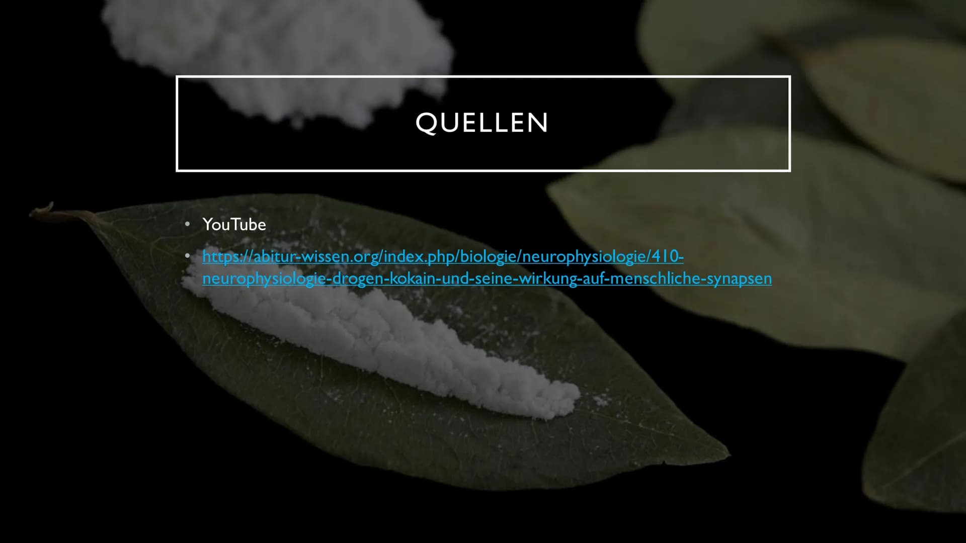 KOKAIN
"Wenn der "Schnee" zu oft rieselt...
...dann droht der Herzinfarkt" INHALTSVERZEICHNIS
Herkunft und
Fakten der Droge
Wirkung im
Nerve