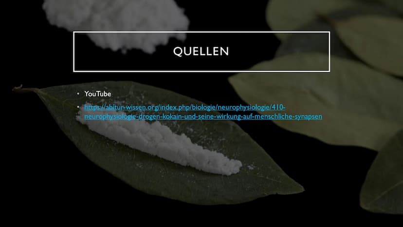 KOKAIN
"Wenn der "Schnee" zu oft rieselt...
...dann droht der Herzinfarkt" INHALTSVERZEICHNIS
Herkunft und
Fakten der Droge
Wirkung im
Nerve