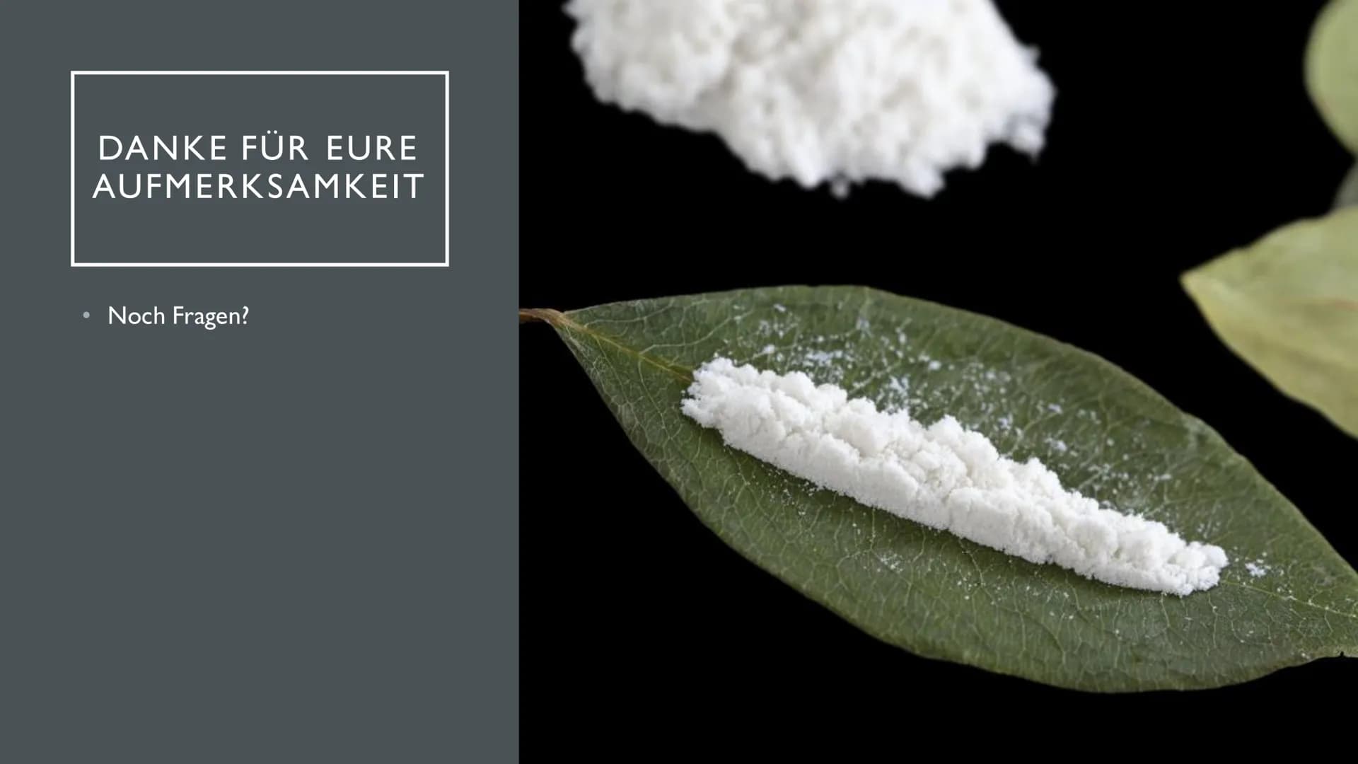 KOKAIN
"Wenn der "Schnee" zu oft rieselt...
...dann droht der Herzinfarkt" INHALTSVERZEICHNIS
Herkunft und
Fakten der Droge
Wirkung im
Nerve