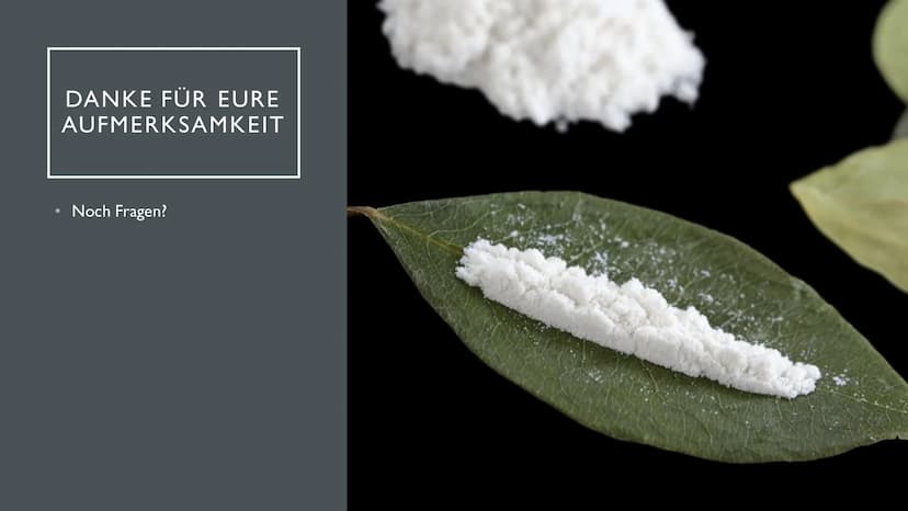 KOKAIN
"Wenn der "Schnee" zu oft rieselt...
...dann droht der Herzinfarkt" INHALTSVERZEICHNIS
Herkunft und
Fakten der Droge
Wirkung im
Nerve