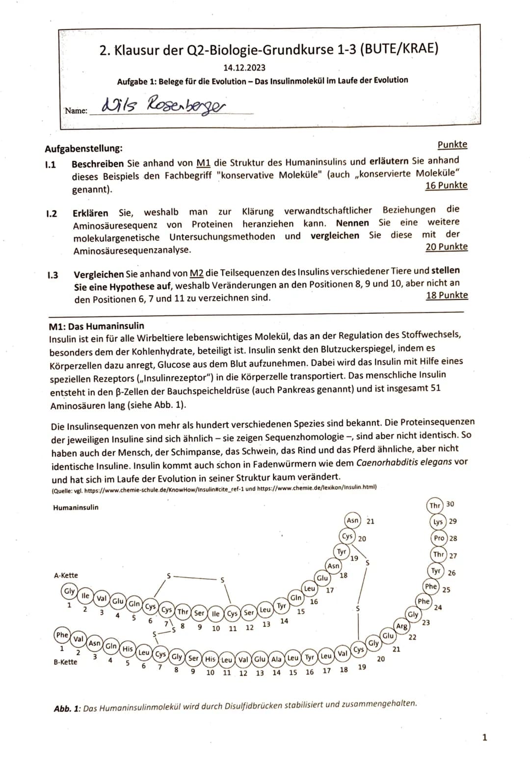Name:
2. Klausur der Q2-Biologie-Grundkurse 1-3 (BUTE/KRAE)
14.12.2023
Aufgabe 1: Belege für die Evolution - Das Insulinmolekül im Laufe der
